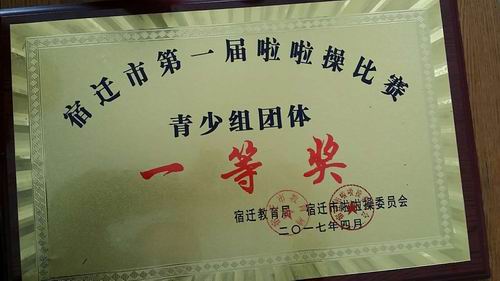 泗阳中专在宿迁市首届啦啦操比赛中绽放精彩