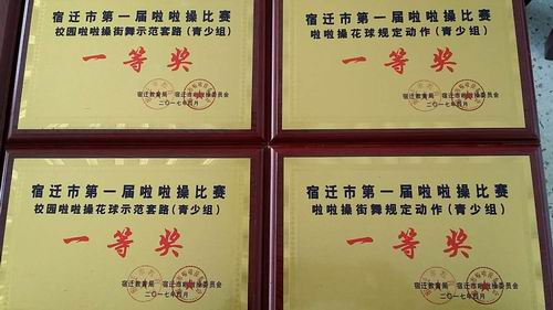 泗阳中专在宿迁市首届啦啦操比赛中绽放精彩