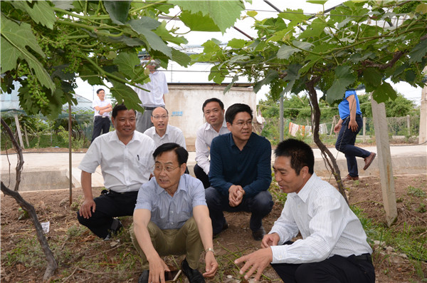 省专家组来沭现场考核教育服务“三农”高水平示范基地