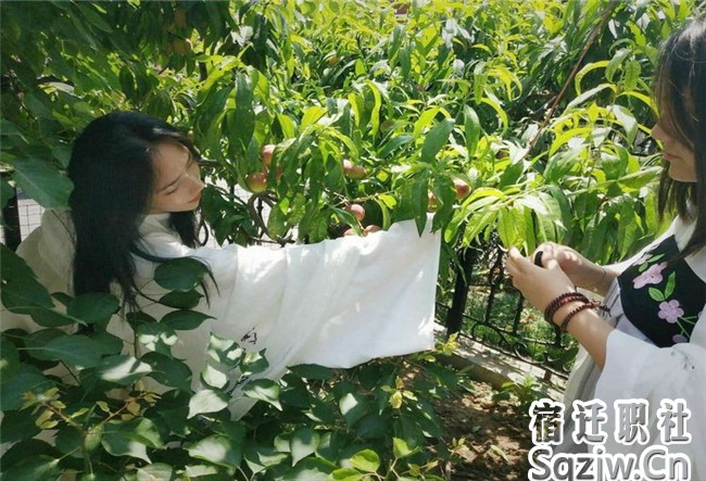 宿迁技师学院高职部开展丰富多彩的学生社团活动