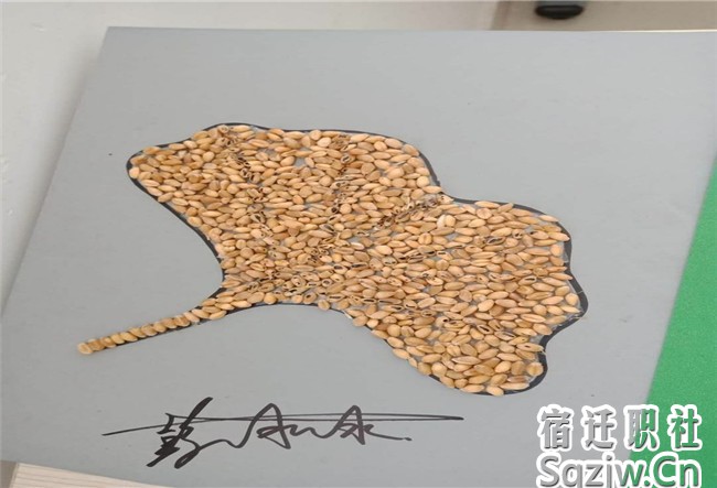 宿迁技师学院高职部开展丰富多彩的学生社团活动