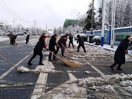 泗阳中专高质量完成路面积雪清扫任务