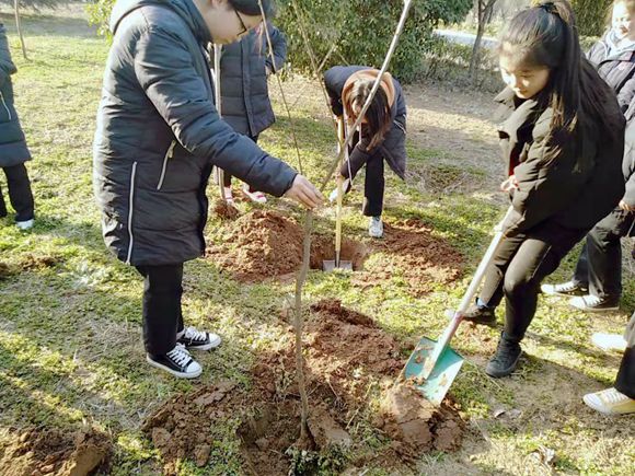 打造绿水青山 建设美丽校园