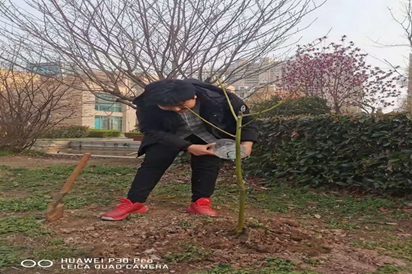 拥抱春天,播种绿色
