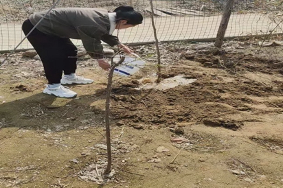 拥抱春天,播种绿色