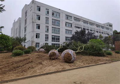泗阳中专：“我为群众办实事”实打实