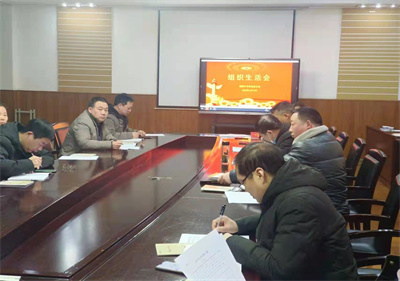泗阳中专：二月份主题党日活动突出“学、议、评”