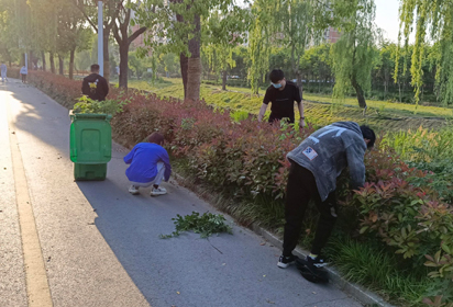 宿迁经贸高职留校学生积极参与校园除草和卫生整治活动