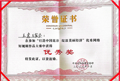 宿迁经贸高职作品获第十届沭阳花木节优秀抖音短视频大赛优秀奖