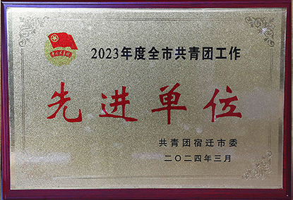 宿迁经贸高职喜获2023年度共青团工作多项荣誉