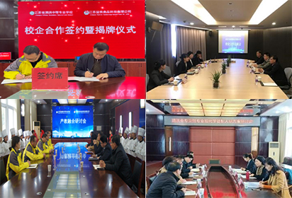 创新协同机制，助推教师成长