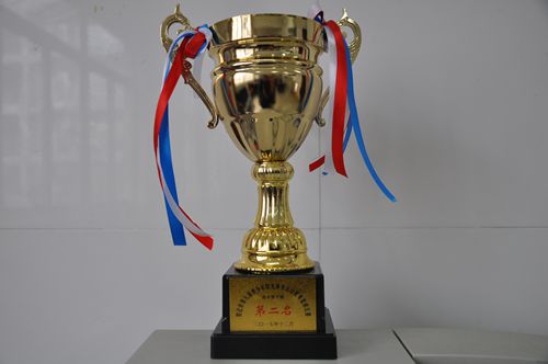 泗阳中专荣获市第九届青少年阳光体育运动联赛篮球比赛亚军