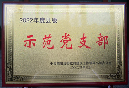 多措并举打造党支部 全面提升党建工作 ——来自县示范党支部、泗阳中专机电工程系党支部的报道