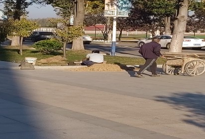 凝心聚力共建美好校园  泗阳中专基建科在行动